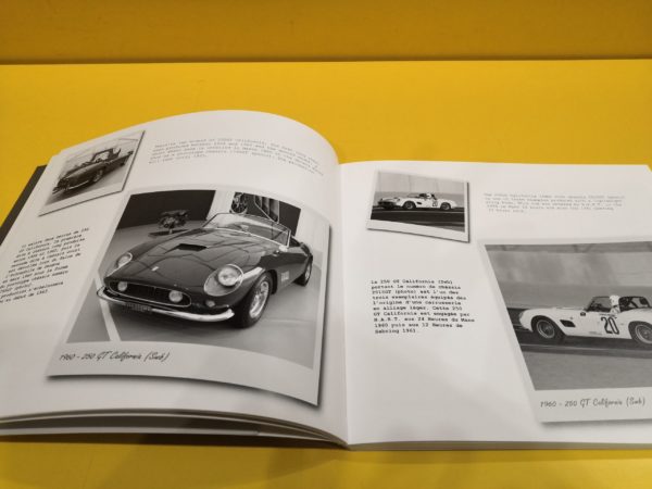 Ferrari Unique & Special - Arnaud Meunier - immagine 2