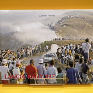 Lancia Rally 037 - Antonio Biasioli