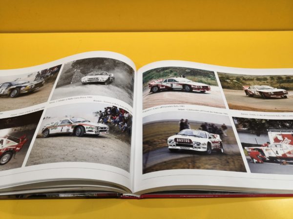 Lancia Rally 037 - Antonio Biasioli - immagine 4