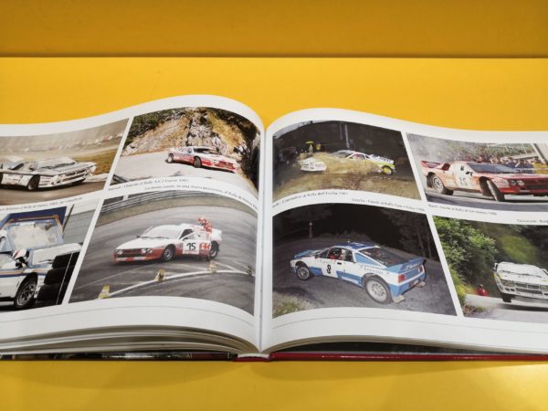 Lancia Rally 037 - Antonio Biasioli - immagine 5