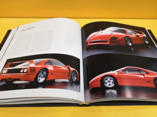 Il Cavallino nel Cuore - Leonardo Fioravanti - immagine 3