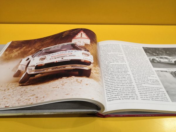 Ferrari 308 GTB Rally Car - Antonio Biasioli - immagine 2