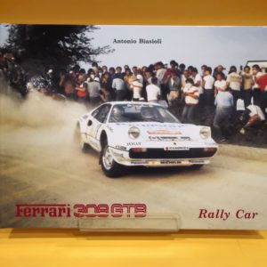 Ferrari 308 GTB Rally Car - Antonio Biasioli
