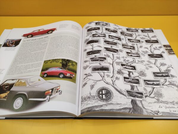 Alfa Romeo Giulia. Articoli e prove dal 1962 al 1977 - Quattroruote - immagine 2