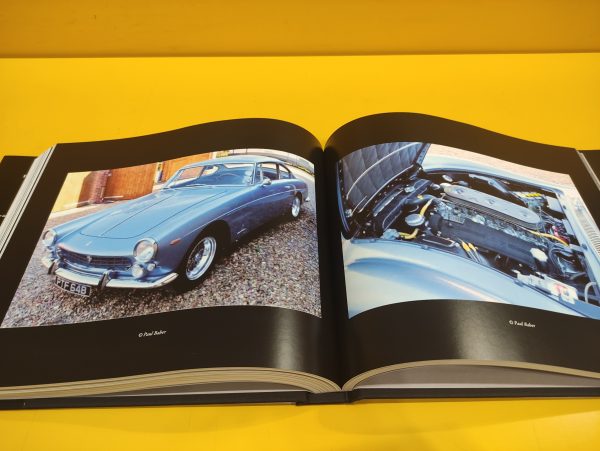 Ferrari 330 America - Cyrille Jaquinot - immagine 2