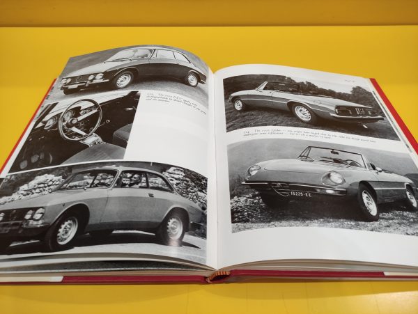 Alfa Romeo Milano - Michael Frostick - immagine 3