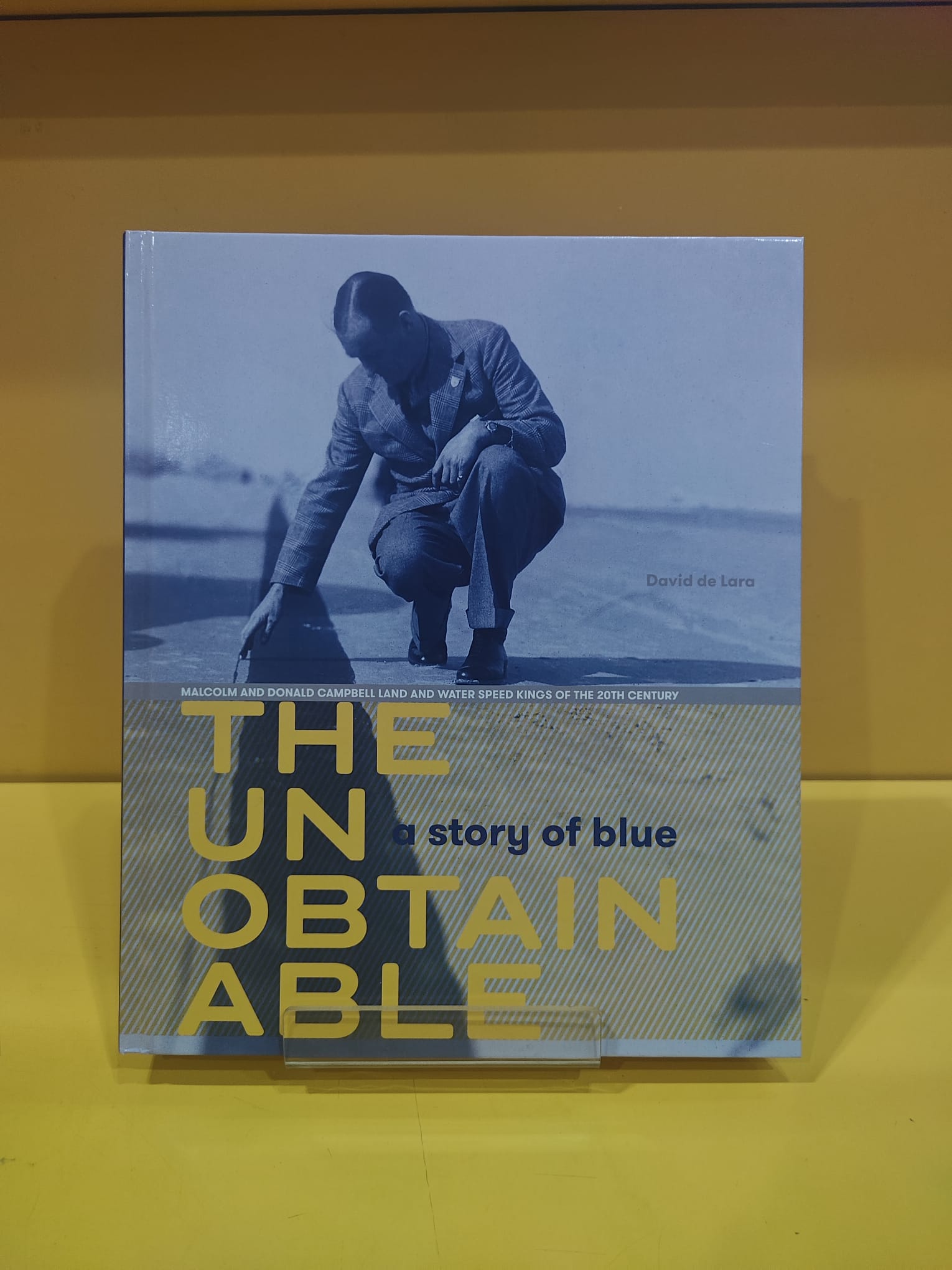 The Unobtainable: A Story of Blue - David De Lara